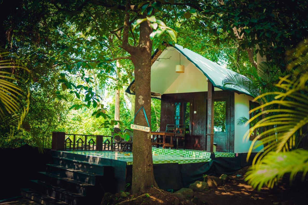 La La Land Resort Goa By Spicy Mango Palolem Exterior photo